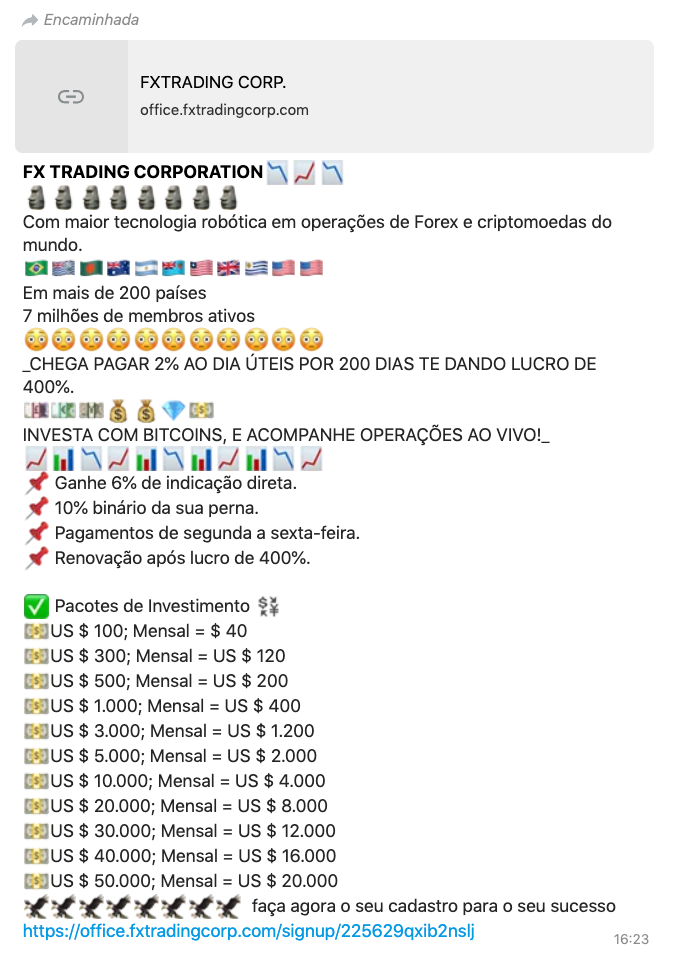 Como a CVM e o Banco Central Protegem Investidores de Golpes