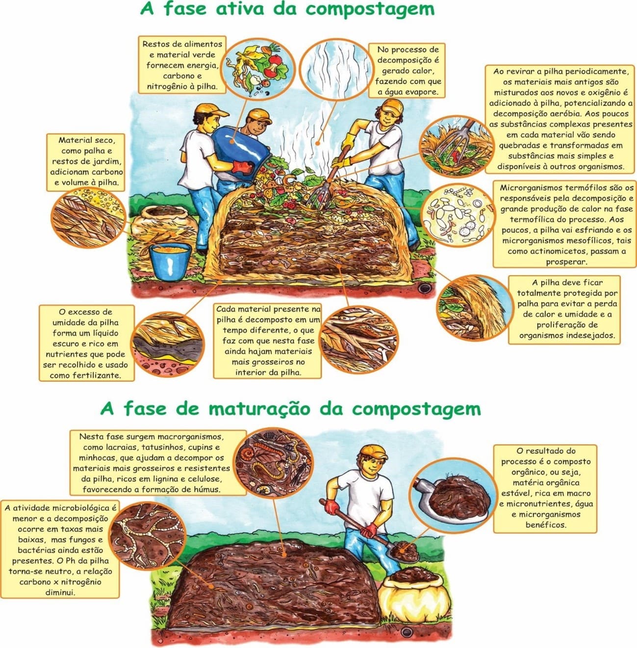 5 ideias de títulos:
1. Compostagem a Frio: O Guia Completo para Iniciantes
2. Transforme seu Lixo Orgânico em Adubo Rico em Casa
3. Compostagem em Apartamento: É Possível e Fácil!
4. Os Erros Mais Comuns na Compostagem a Frio (e Como Evitá-los)
5. Vantagens e Desvantagens da Compostagem Lenta