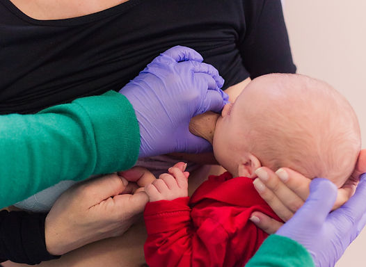 consultor de amamentação mei