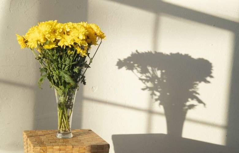 5 ideias de títulos