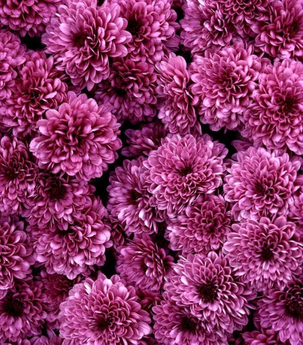 5 ideias de títulos