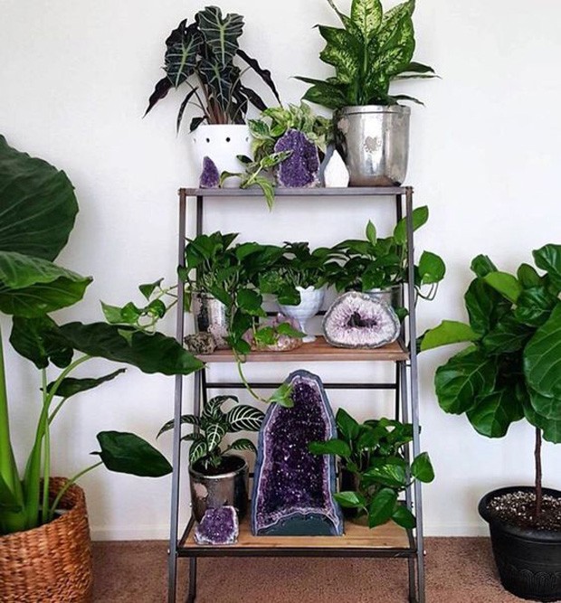 Guia Completo: Como Escolher os Cristais Certos para Seu Jardim; Terrários com Cristais: Ideias Criativas e Dicas de Montagem; Cristais e Plantas: Desvendando a Energia e os Benefícios para o Seu Verde; Manutenção de Cristais no Jardim: Proteja Suas Pedras do Sol e da Chuva; Além da Estética: O Poder dos Cristais para o Equilíbrio Energético das Plantas