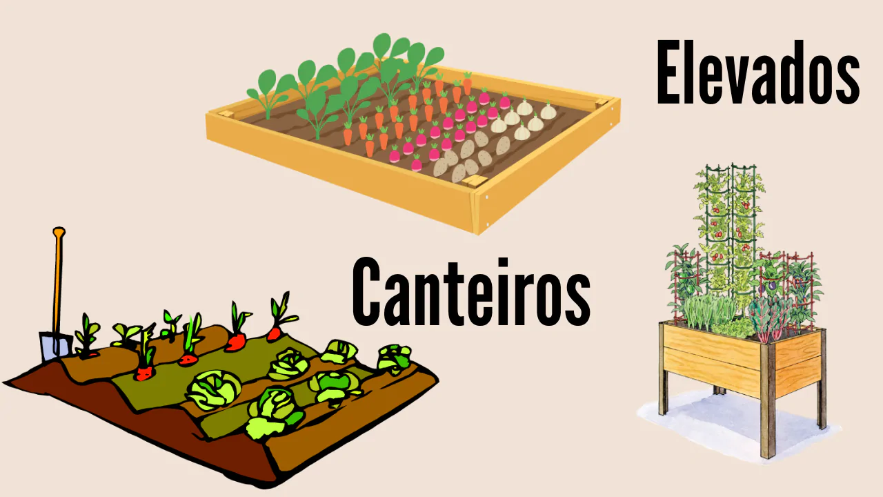 cultivo em canteiros elevados