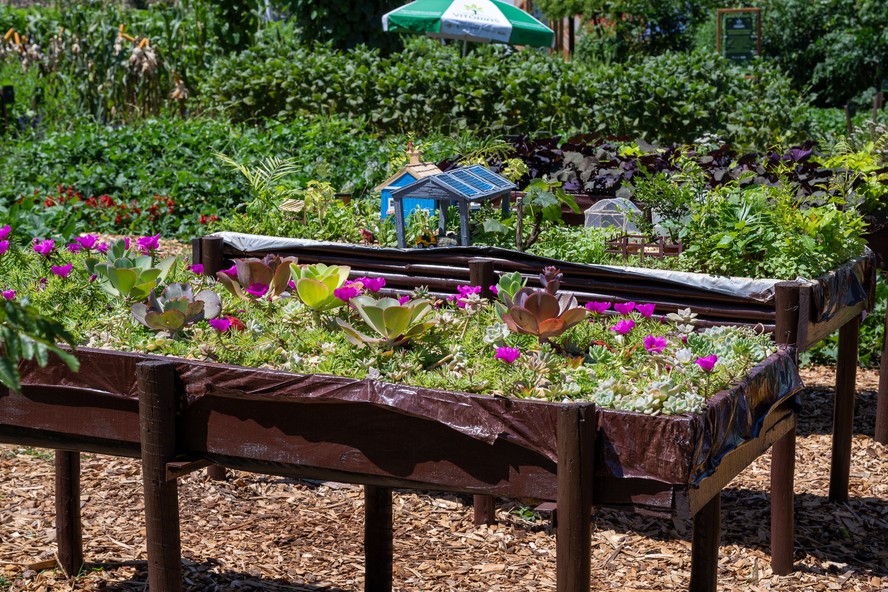 5 ideias de títulos:
1. Canteiros Elevados: O Guia Completo para Iniciantes
2. Transforme seu Espaço com Canteiros Elevados: Dicas de Construção e Plantio
3. As Melhores Plantas para Cultivar em Canteiros Elevados
4. Canteiros Elevados Sustentáveis: Materiais Reciclados e Técnicas Ecológicas
5. Resolva Problemas de Solo e Drenagem com Canteiros Elevados