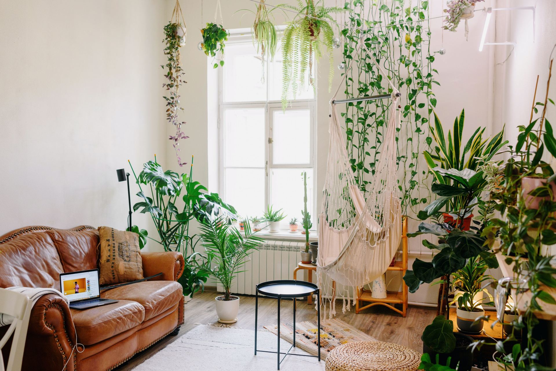 Urban Jungle em Casa: Como Criar um Oásis Verde e Aconchegante no Seu Apartamento