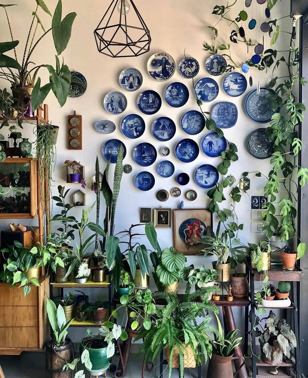 Biofilia na Decoração: Transforme Seu Lar com Conforto e Natureza