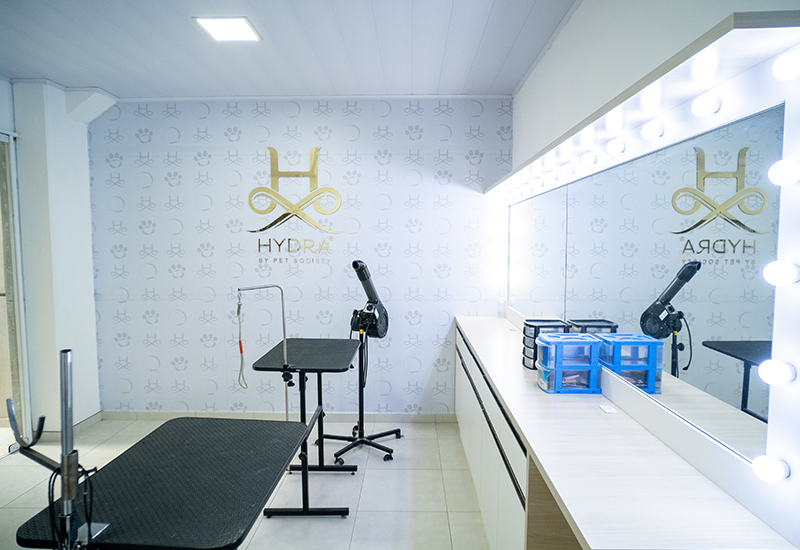 Guia Completo de Materiais de Revestimento para Pet Shops: Durabilidade e Higiene