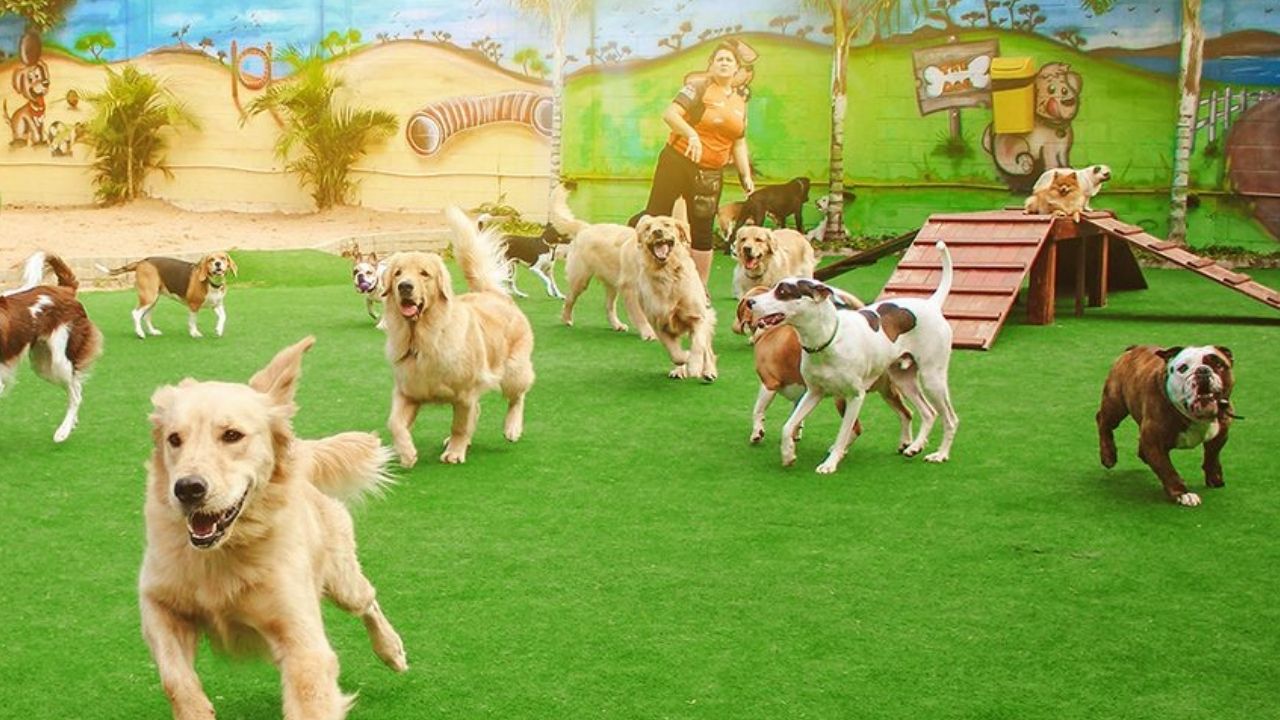 5 ideias de títulos