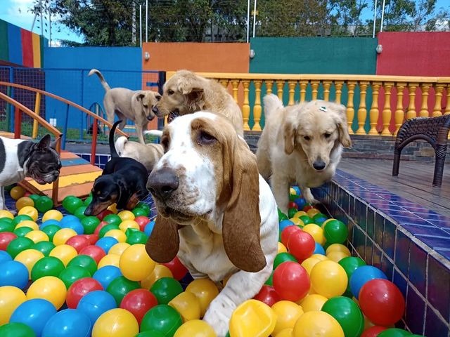 5 ideias de títulos