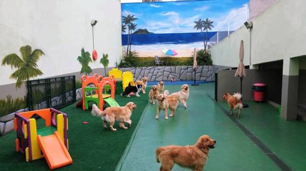 decoração de creche para cães