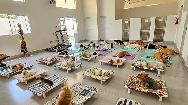 5 ideias de títulos