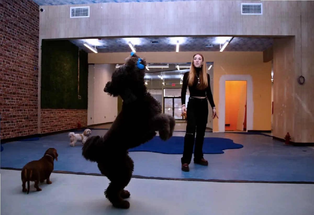 5 ideias de títulos