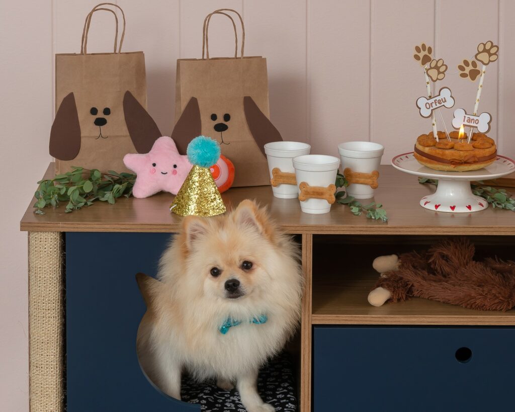 5 ideias de títulos