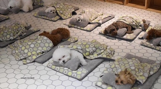 5 ideias de títulos