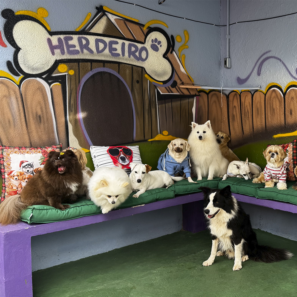 5 ideias de títulos