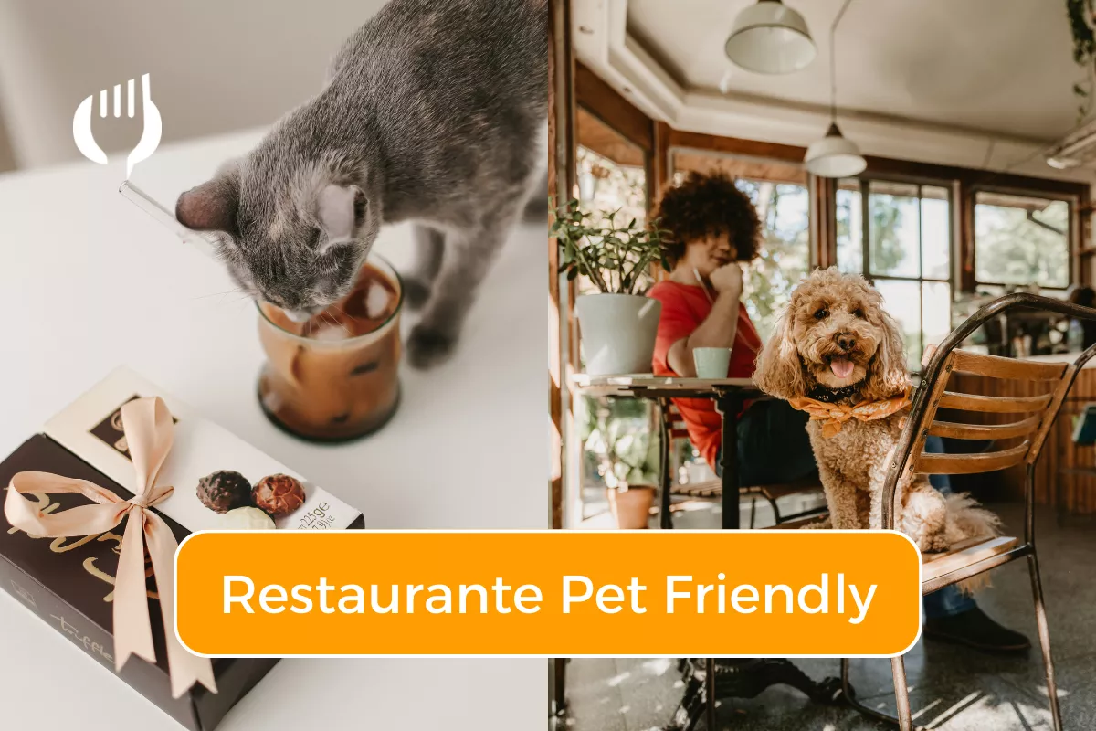 decoração de restaurante pet friendly
