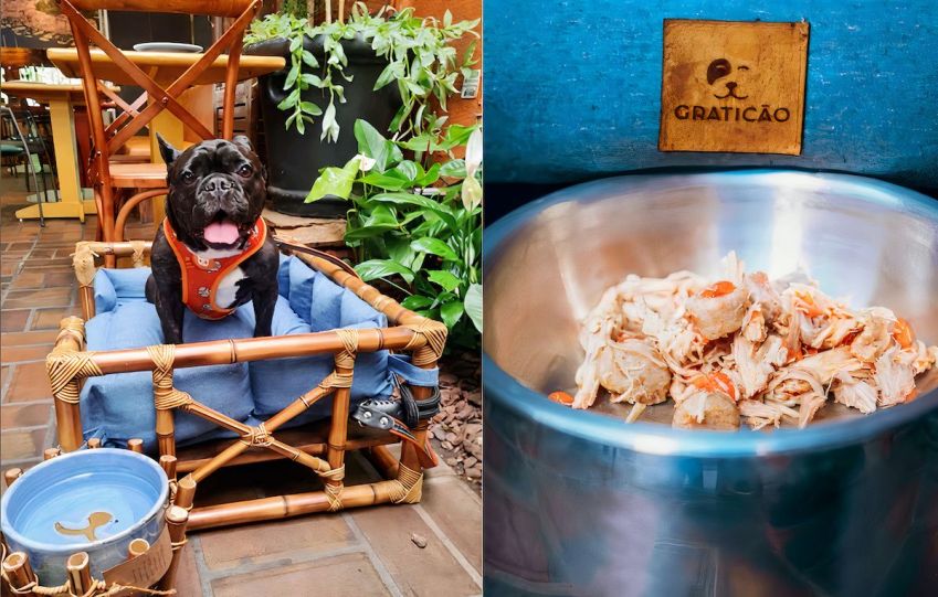 Higiene e Segurança: Dicas Cruciais para Restaurantes que Recebem Pets