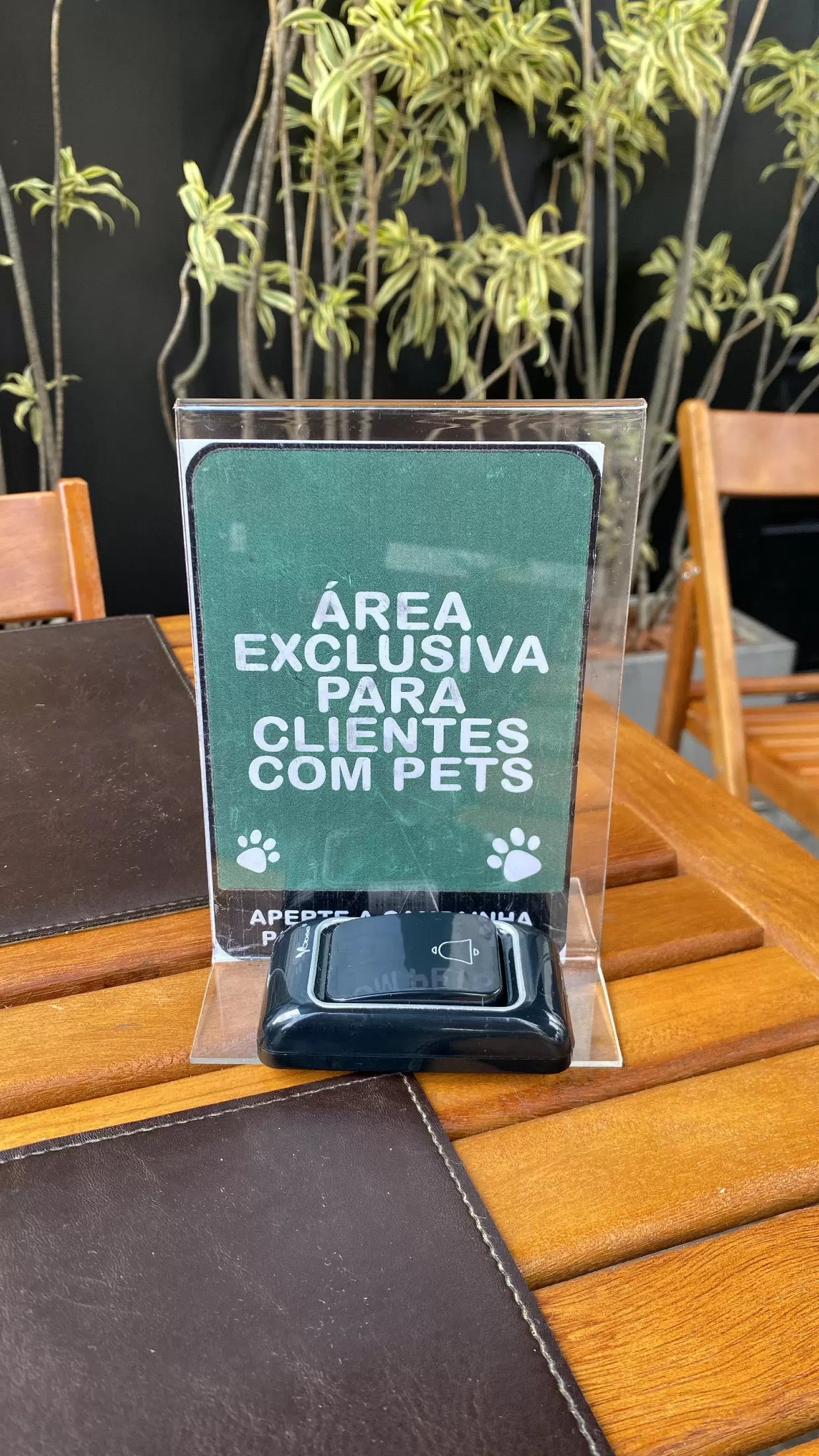 decoração de restaurante pet friendly