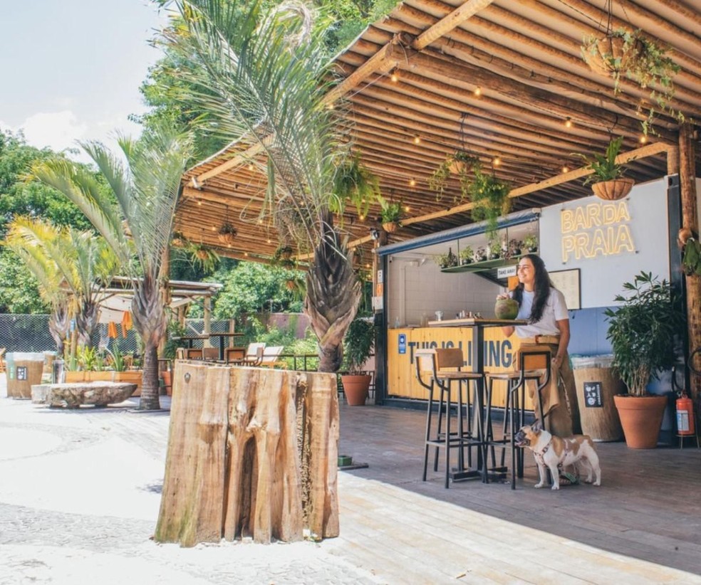 Além do Básico: Detalhes que Transformam Seu Restaurante em um Paraíso Pet Friendly