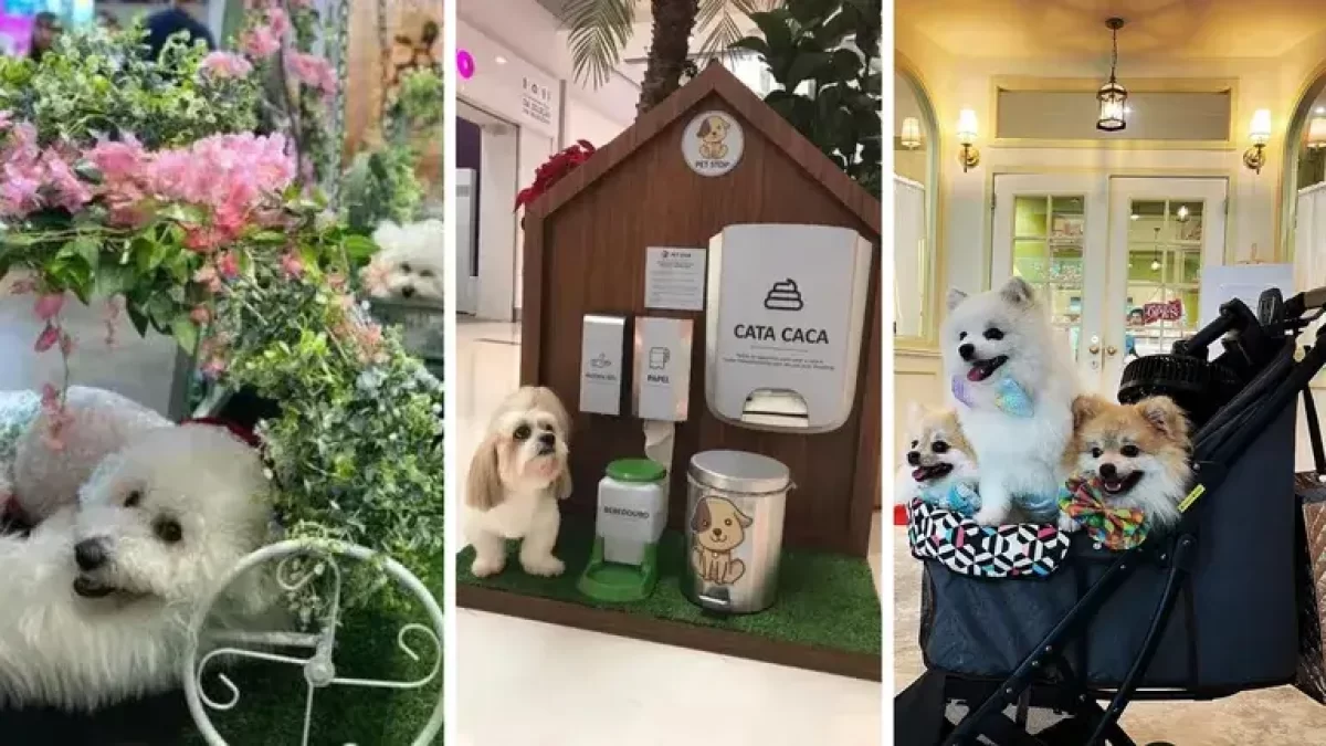 decoração de restaurante pet friendly