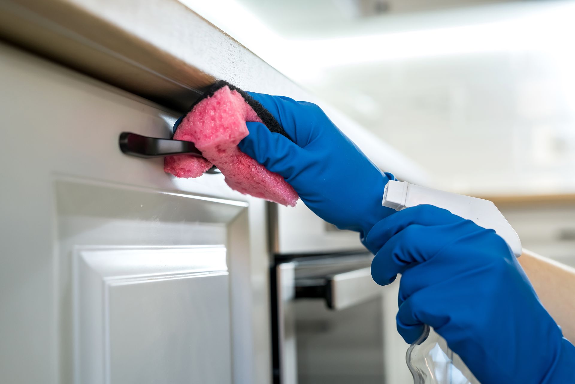 Licenças Essenciais para sua Dedetizadora: Sanitária e Ambiental