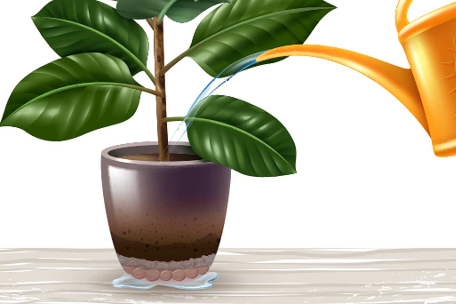 Como escolher os melhores materiais para drenagem de vasos