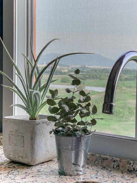 A importância da manta de drenagem na saúde das suas plantas