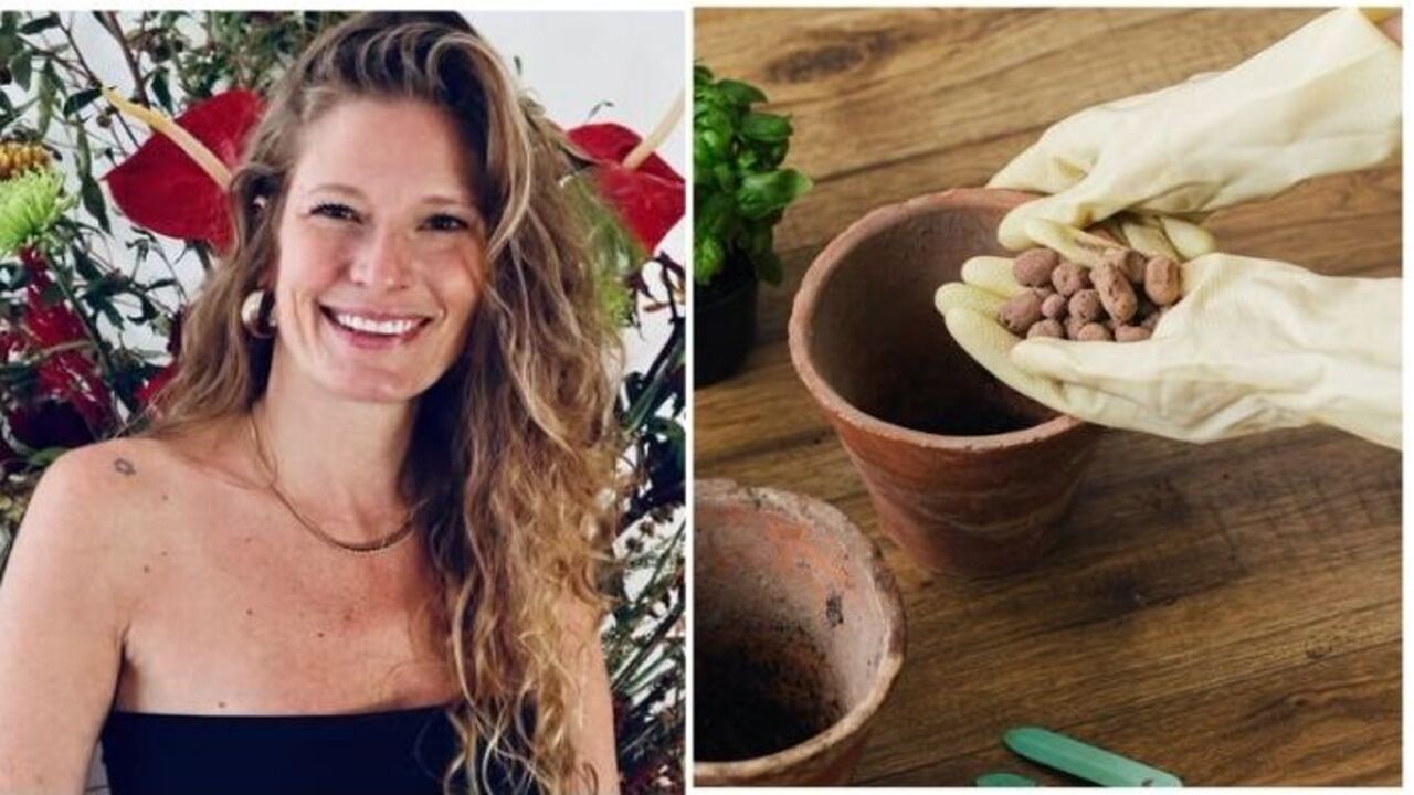 5 erros comuns ao fazer a drenagem de vasos e como evitá-los