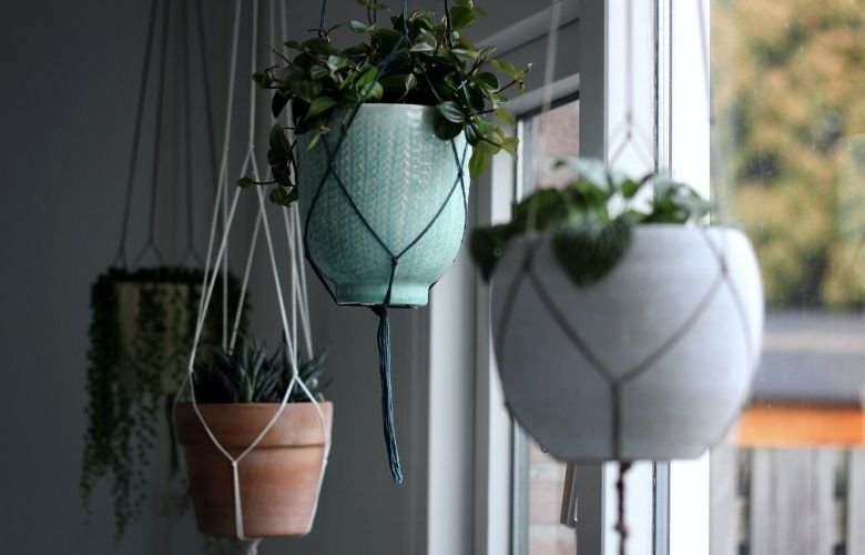 5 erros comuns ao fazer a drenagem de vasos e como evitá-los