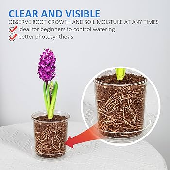 Como escolher os melhores materiais para drenagem de vasos