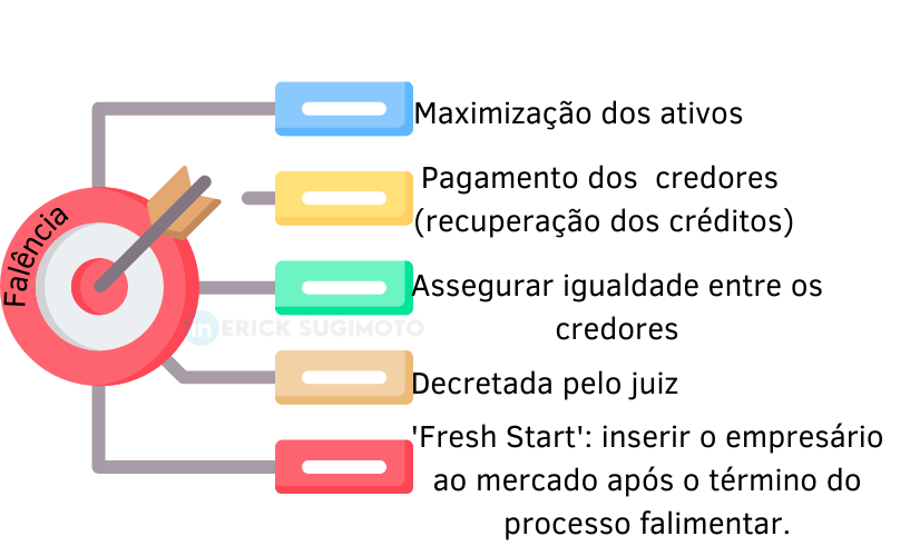 falência o que fazer