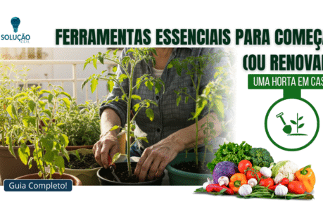 Como escolher as ferramentas certas para sua horta em vasos