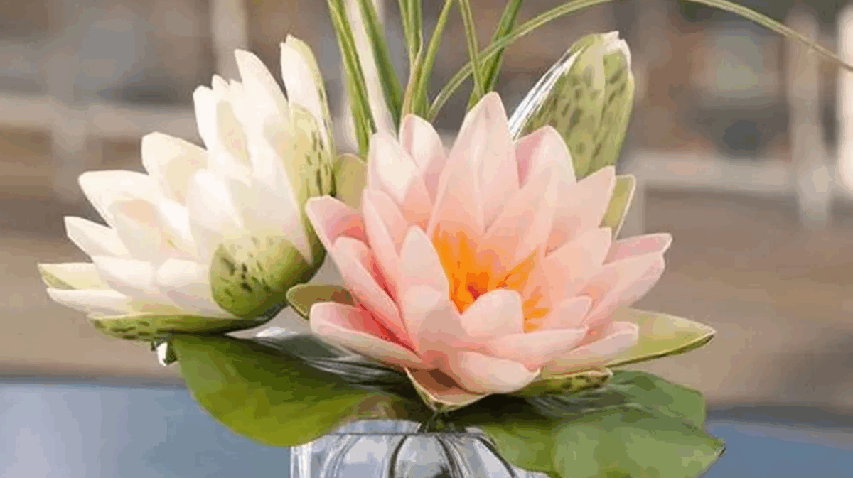 Usos Culinários da Flor de Lótus: Da Raiz às Sementes