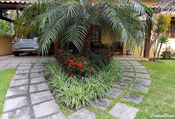 Flores Aromáticas para Bordaduras: Beleza e Perfume no Seu Jardim