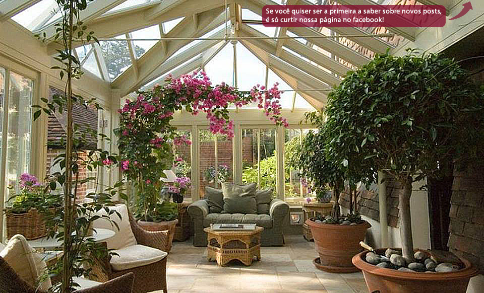 Guia Completo: Plantas de Folhagem para Contraste no Jardim