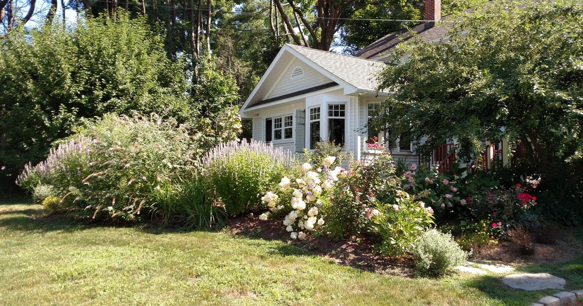 Guia Completo: Plantas de Folhagem para Contraste no Jardim