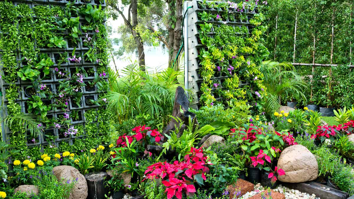 Guia Completo: Plantas de Folhagem para Contraste no Jardim