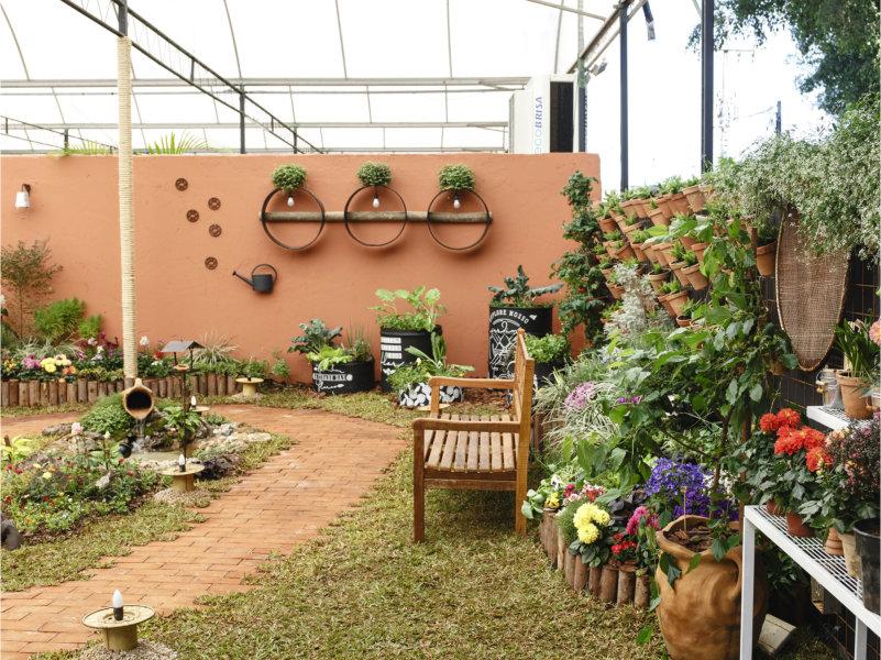 Guia Completo: Plantas de Folhagem para Contraste no Jardim