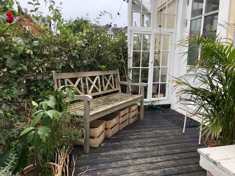 Folhagens Ideais para Complementar o Visual do Seu Deck