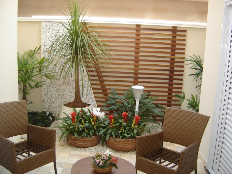 Guia Completo: Escolhendo Plantas para seu Jardim de Inverno