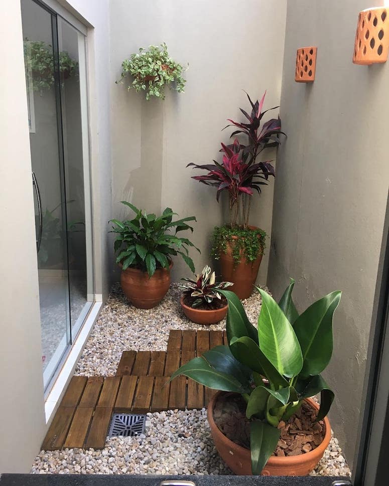 flores para jardim de inverno com deck