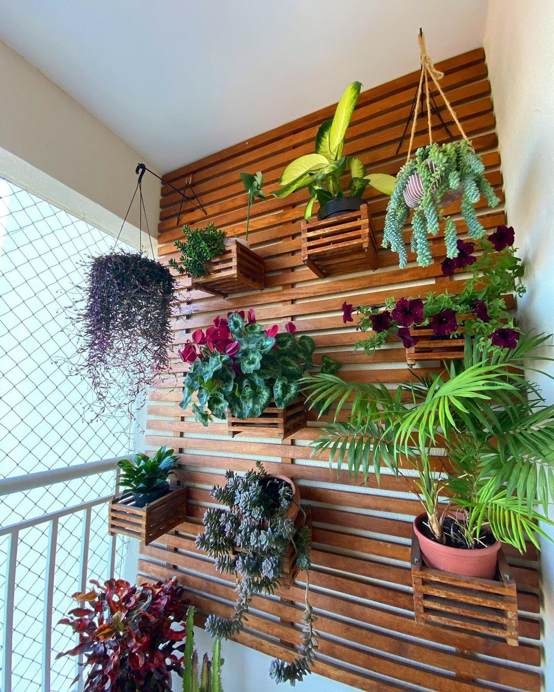 Guia Completo: Escolhendo Plantas para seu Jardim de Inverno