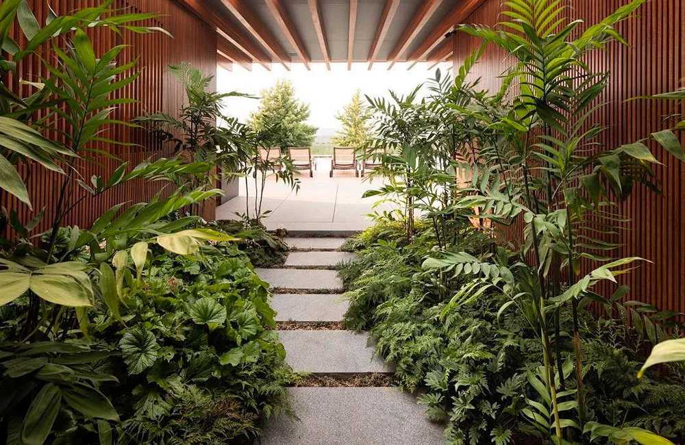 As 5 Melhores Flores para um Jardim de Inverno com Deck de Madeira