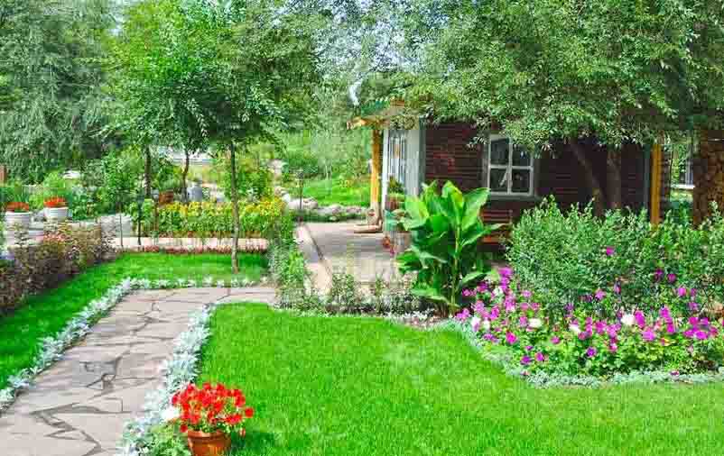 Guia completo de manutenção da grama sintética