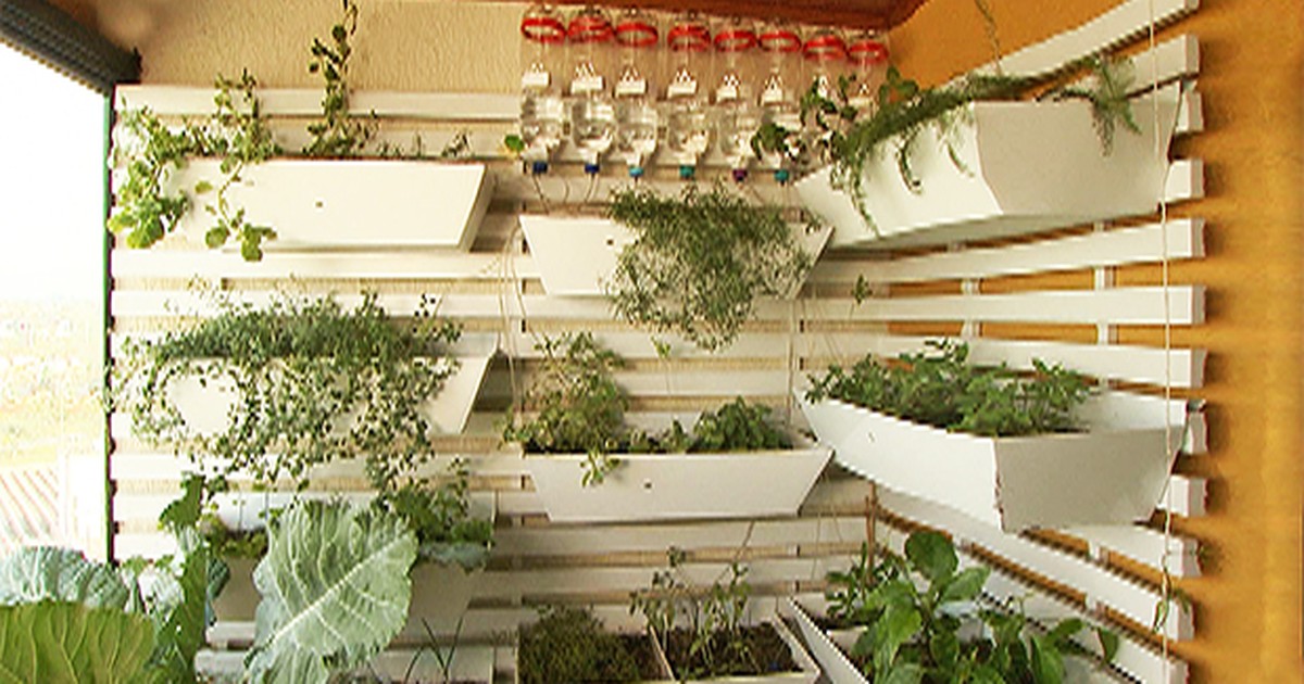 horta em apartamento com irrigação por gotejamento