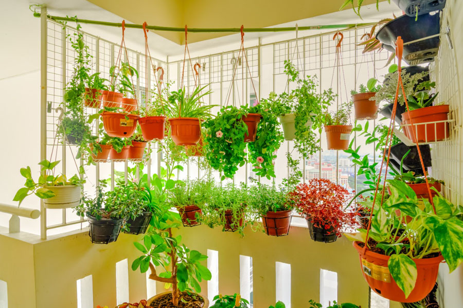 Soluções Criativas para Otimizar a Luz Natural na sua Horta Urbana