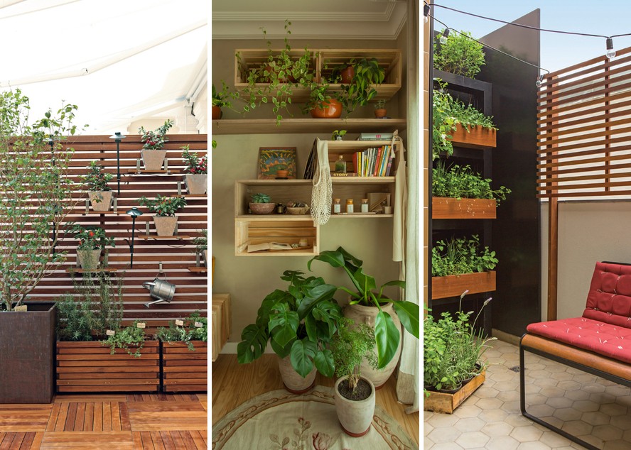 horta em apartamento com pouca luz e ventilação