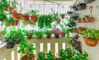 5 ideias de títulos