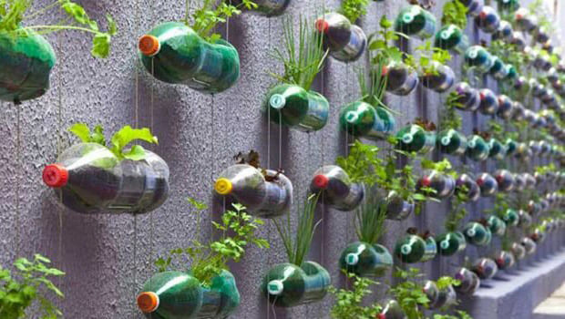 horta em garrafas pet suspensas