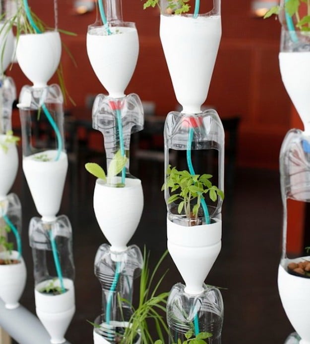 5 ideias de títulos